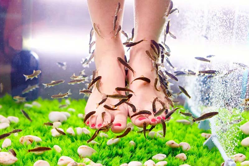 Fishspa