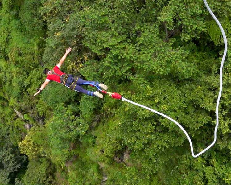 Free Fall